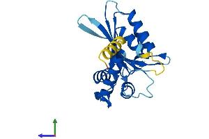 AlphaFold protein structure predicition of Mouse Recombinant Aicda Protein, UniprotID Q9WVE0