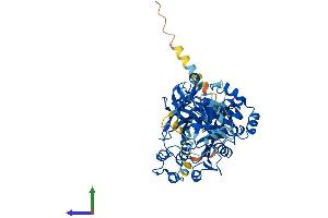AlphaFold protein structure predicition of Human Recombinant GALNT14 Protein, UniprotID Q96FL9