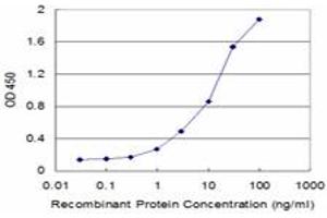 Detection limit for recombinant GST tagged ECHS1 is approximately 0.