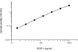 ELISA image for Chemokine (C-C Motif) Ligand 2 (CCL2) ELISA Kit (ABIN2690571)