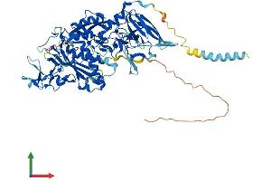 AlphaFold protein structure predicition of Mouse Recombinant Lmln Protein, UniprotID Q8BMN4