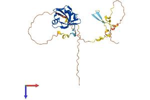 AlphaFold protein structure predicition of Human Recombinant PDZD9 Protein, UniprotID Q8IXQ8