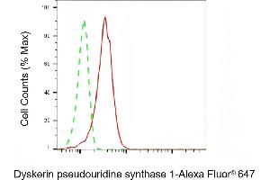 Flow cytometric analysis of Dyskerin pseudouridine synthase 1 expression in HepG2 cells using Dyskerin pseudouridine synthase 1 antibody (ABIN7798408), 1:2,000).