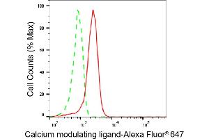 Flow cytometric analysis of Calcium modulating ligand expression in HeLa cells using Calcium modulating ligand antibody (ABIN7797829), 1:1,000).