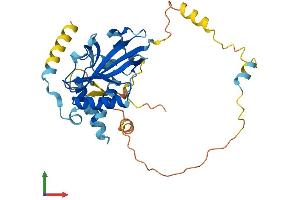 AlphaFold protein structure predicition of Human Recombinant ATG3 Protein, UniprotID Q9NT62
