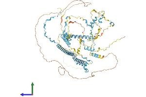 AlphaFold protein structure predicition of Mouse Recombinant Tpx2 Protein, UniprotID A2APB8