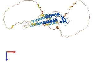 AlphaFold protein structure predicition of Human Recombinant GJA3 Protein, UniprotID Q9Y6H8