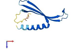 AlphaFold protein structure predicition of Mouse Recombinant Commd6 Protein, UniprotID Q3V4B5