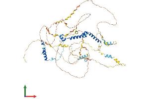 AlphaFold protein structure predicition of Human Recombinant PHACTR4 Protein, UniprotID Q8IZ21