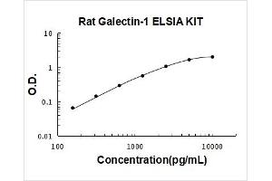 Typical Standard Curve