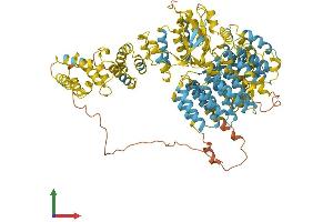 AlphaFold protein structure predicition of Human Recombinant PSMD2 Protein, UniprotID Q13200