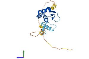 AlphaFold protein structure predicition of Mouse Recombinant Atp23 Protein, UniprotID Q9CWQ3
