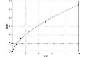 A typical standard curve (MGMT Kit ELISA)