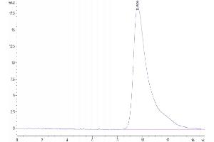 The purity of Human DLL3 (27-215) is greater than 95 % as determined by SEC-HPLC.