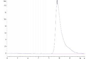 The purity of Human DLL3 (27-215) is greater than 95 % as determined by SEC-HPLC. (DLL3 Protein (AA 27-215) (His-DYKDDDDK Tag))