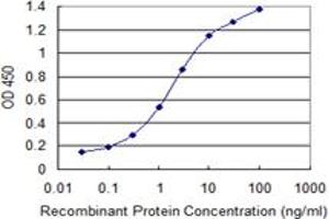 Detection limit for recombinant GST tagged SMS is 0.