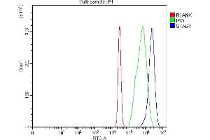 anti-Stromal Antigen 1 (STAG1) (AA 748-1224) antibody