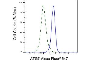 Validation of ATG7 knockdown using flow cytometry. (Recombinant ATG7 anticorps)