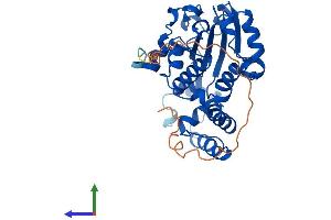 AlphaFold protein structure predicition of Mouse Recombinant Clvs2 Protein, UniprotID Q8BG92