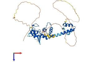 AlphaFold protein structure predicition of Mouse Recombinant Rnf34 Protein, UniprotID Q99KR6
