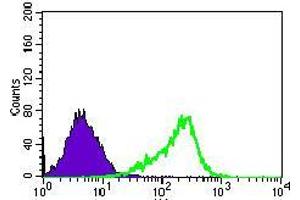 Flow cytometric analysis of HeLa cells using WHSC2 mouse mAb (green) and negative control (purple).