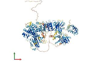 AlphaFold protein structure predicition of Mouse Recombinant Nlrp1b Protein, UniprotID Q2LKW6