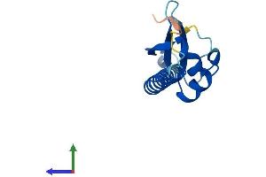 AlphaFold protein structure predicition of Human Recombinant DPPA5 Protein, UniprotID A6NC42