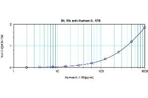 Sandwich ELISA using Biotin conjugated anti-Interleukin-17B / IL17B antibody