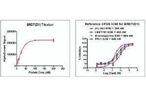 Recombinant BRDT (21-137) activity using AlphaScreen.