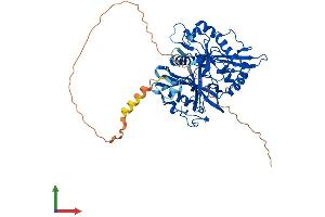 AlphaFold protein structure predicition of Mouse Recombinant Nmt1 Protein, UniprotID O70310