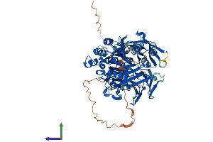 AlphaFold protein structure predicition of Mouse Recombinant Prepl Protein, UniprotID Q8C167