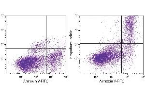 Flow Cytometry (FACS) image for Annexin V Apoptosis Kit-FITC (ABIN376221)