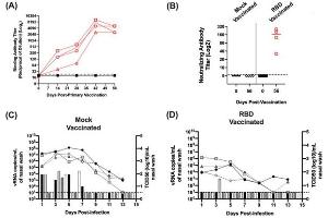 ELISA results using Goat Anti-Ferret IgG Antibody Peroxidase Conjugated.