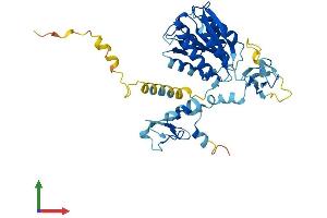 AlphaFold protein structure predicition of Human Recombinant GTF2H2C, Protein, UniprotID Q6P1K8