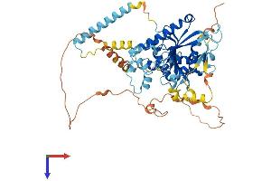 AlphaFold protein structure predicition of Mouse Recombinant Ddhd1 Protein, UniprotID Q80YA3