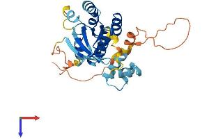 AlphaFold protein structure predicition of Human Recombinant RAB40C Protein, UniprotID Q96S21
