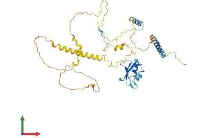AlphaFold protein structure predicition of Mouse Recombinant Nelfe Protein, UniprotID P19426