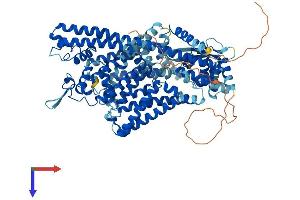 AlphaFold protein structure predicition of Human Recombinant TPCN1 Protein, UniprotID Q9ULQ1