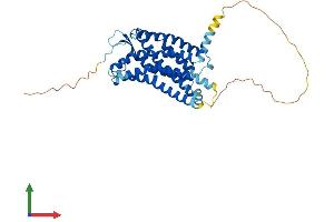 AlphaFold protein structure predicition of Human Recombinant APLNR Protein, UniprotID P35414