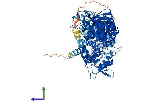 AlphaFold protein structure predicition of Human Recombinant ZYG11A Protein, UniprotID Q6WRX3