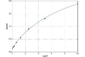 Matrix Metallopeptidase 24 (Membrane-inserted) (MMP24) ELISA Kit
