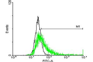 FACS analysis of negative control 293 cells (Black) and HLA-DQB1 expressing 293 cells (Green) using HLA-DQB1 purified MaxPab mouse polyclonal antibody.
