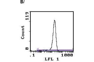 Image no. 1 for anti-CD3 (CD3) antibody (FITC) (ABIN114136) (CD3 anticorps  (FITC))