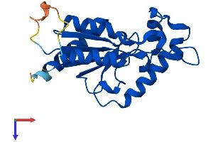 AlphaFold protein structure predicition of Mouse Recombinant Nmrk1 Protein, UniprotID Q91W63