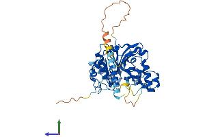 AlphaFold protein structure predicition of Human Recombinant GLT8D1 Protein, UniprotID Q68CQ7