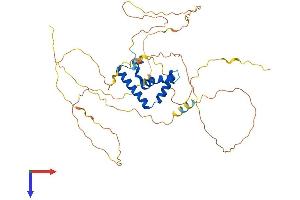 AlphaFold protein structure predicition of Mouse Recombinant Tcf7 Protein, UniprotID Q00417
