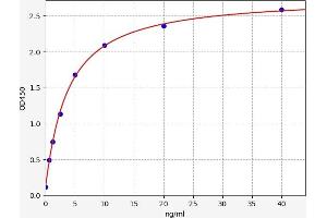 Myosin, Light Chain 3 (MYL3) ELISA Kit