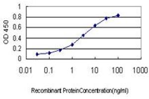 Detection limit for recombinant GST tagged HTRA2 is approximately 0. (HTRA2 anticorps  (AA 359-458))