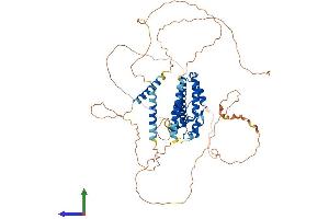 AlphaFold protein structure predicition of Human Recombinant PROX2 Protein, UniprotID Q3B8N5