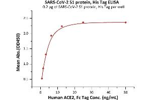 Immobilized SARS-CoV-2 S1 protein, His Tag (ABIN6973238) at 2 μg/mL (100 μL/well) can bind Human ACE2, Fc Tag (ABIN6952459,ABIN6952465) with a linear range of 0.